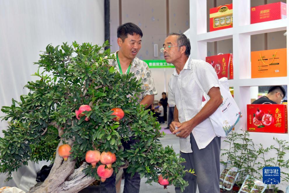 欢乐园游戏官网