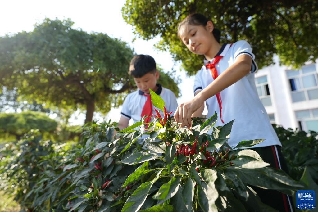 10博网址谁知道